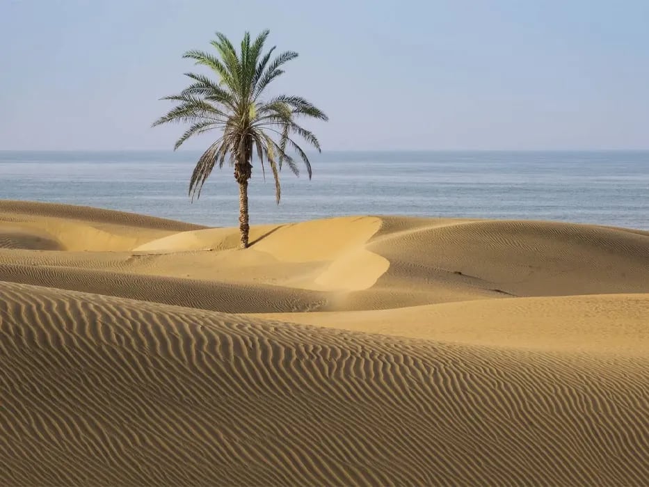 Alone-Palm Darak beach in South of Sistan and Balouchestan Province in South East parts of Iran.