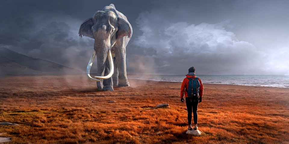 Infrasound: The Mysterious Sounds That Humans Cannot Hear But Animals Live With