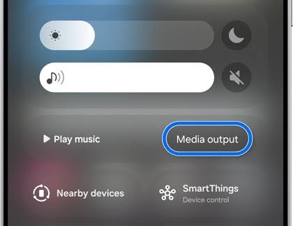 Photo of Media Output button in Samsung Phone Settings.