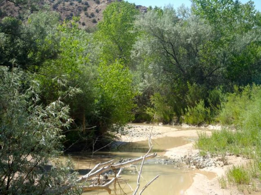 Ojo Caliente, New Mexico 87549 Listing 19750 — Green Homes For Sale