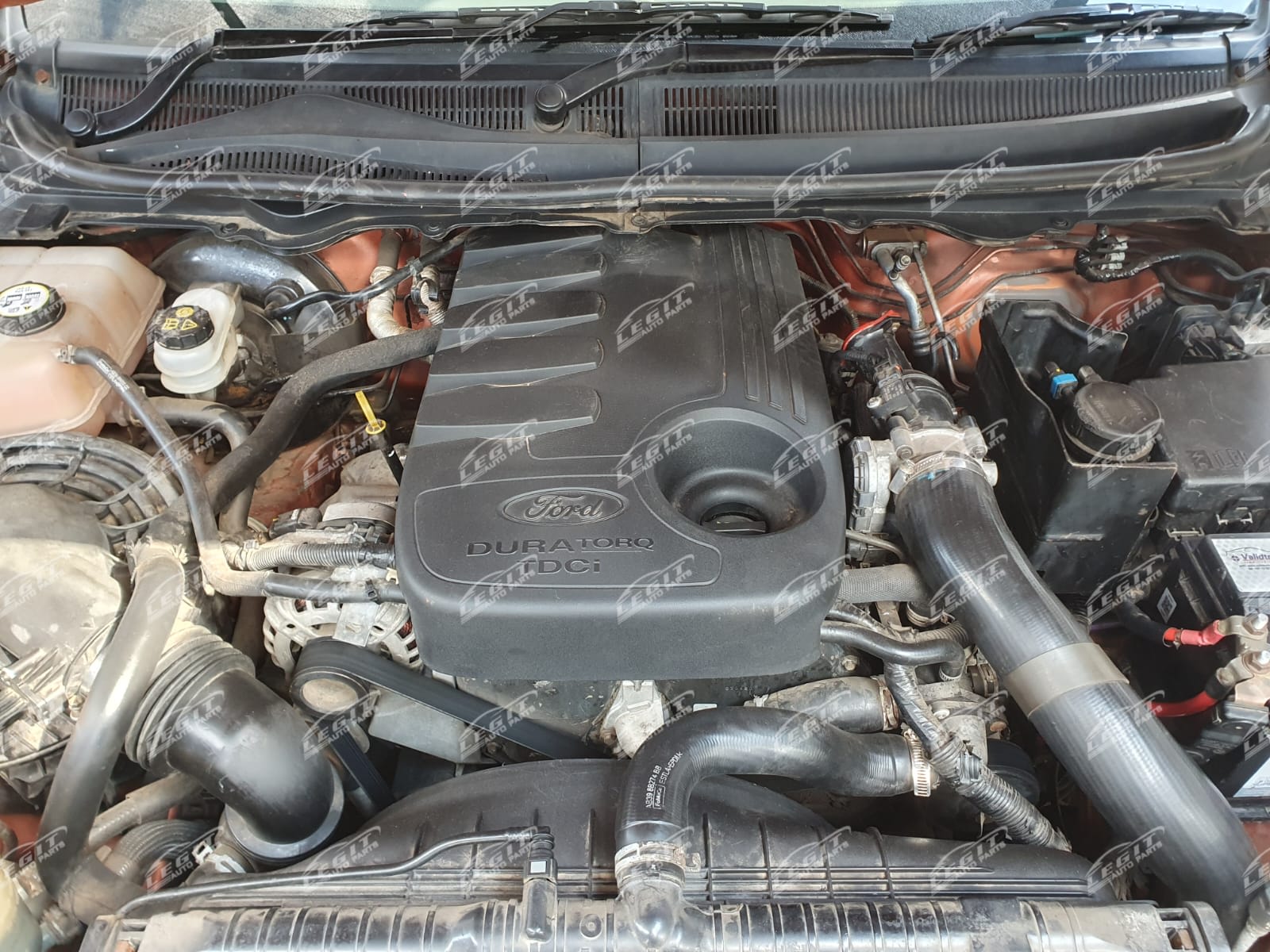 Ford Ranger T6 Wildtrack 4X4 Double Cab