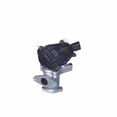 GMM P-Series EGR Valve 1207100XED95