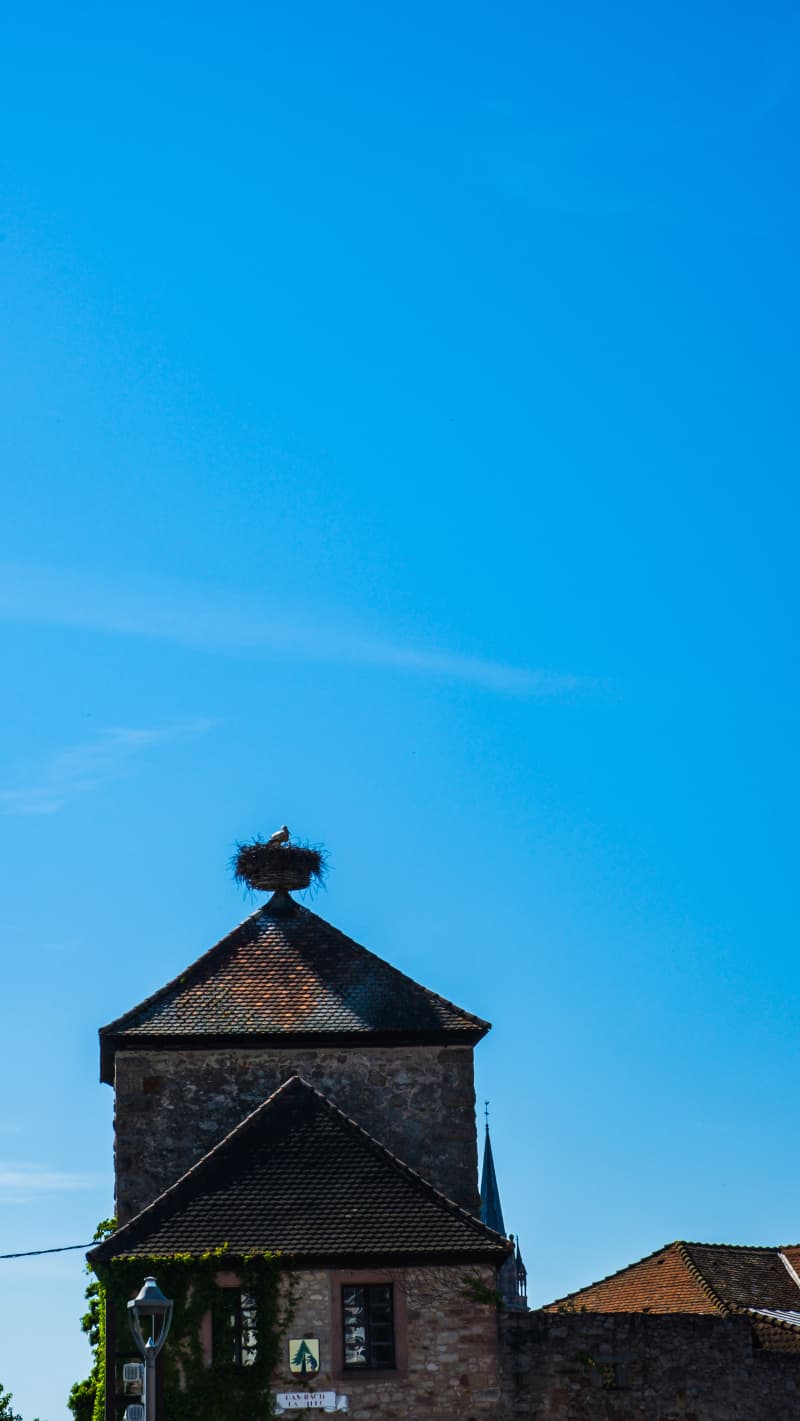 Photography by Petr Mitev