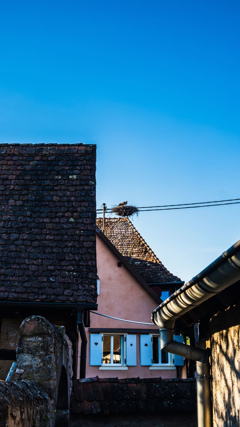 Photography by Petr Mitev