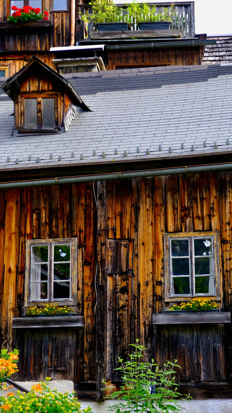 Photography by Petr Mitev