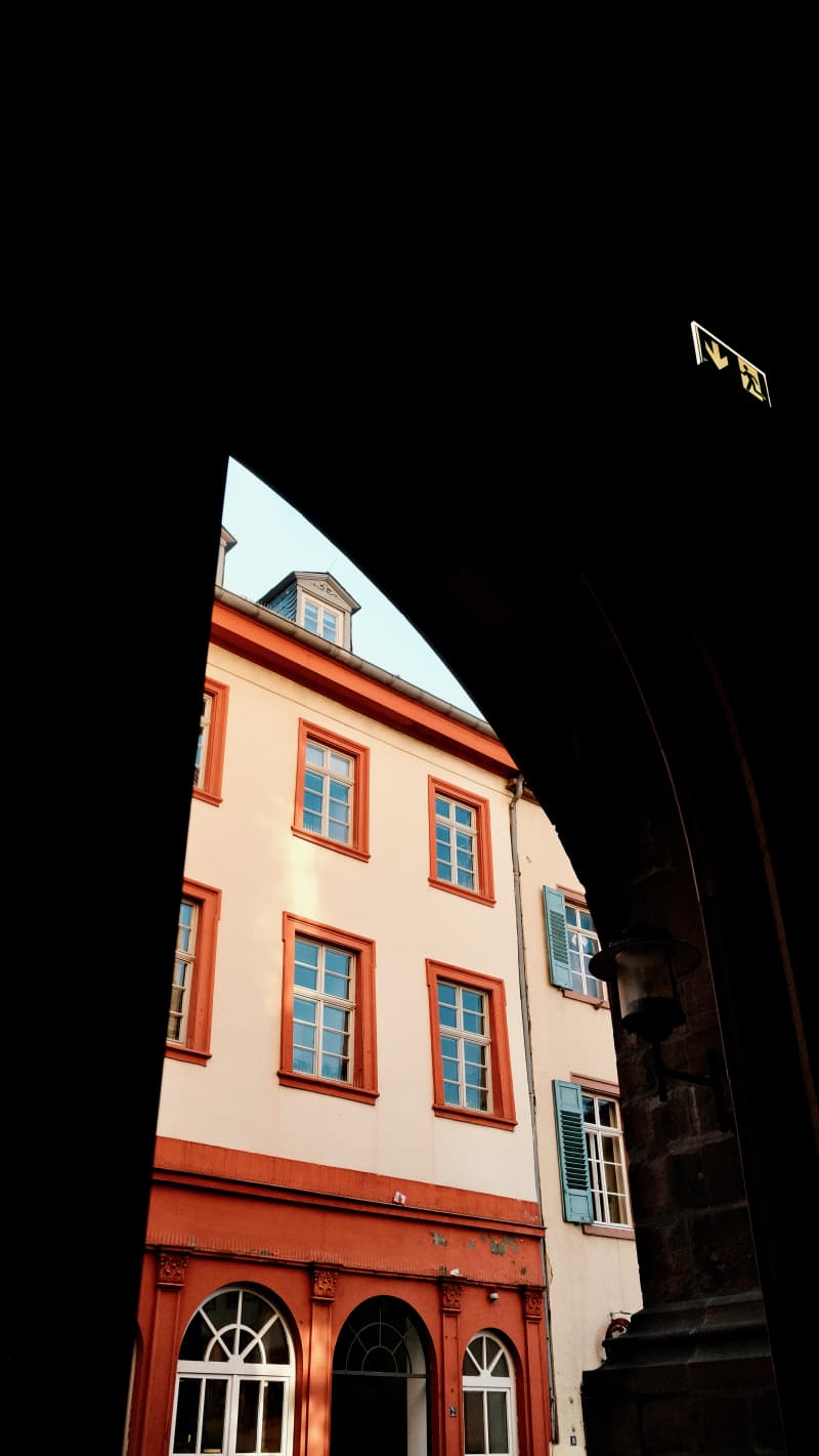 Photography by Petr Mitev