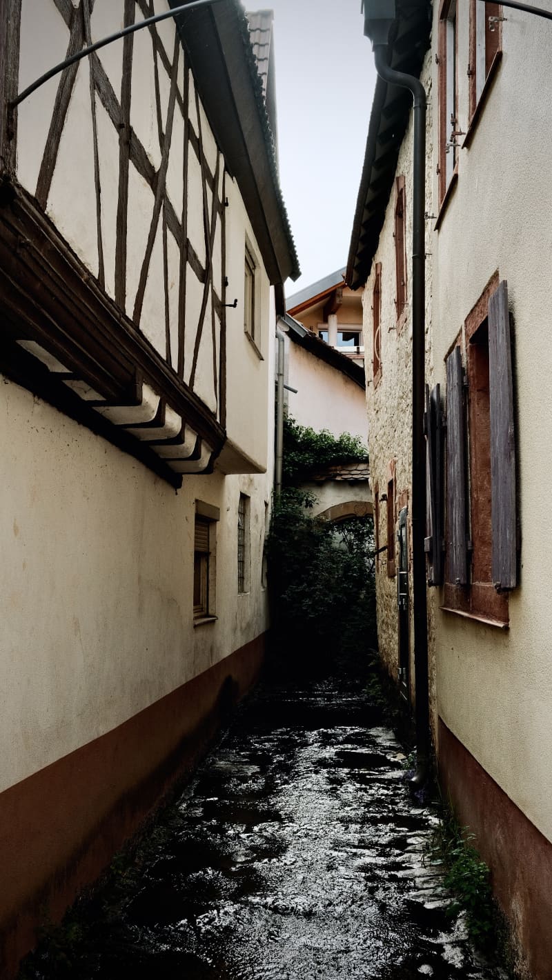 Photography by Petr Mitev