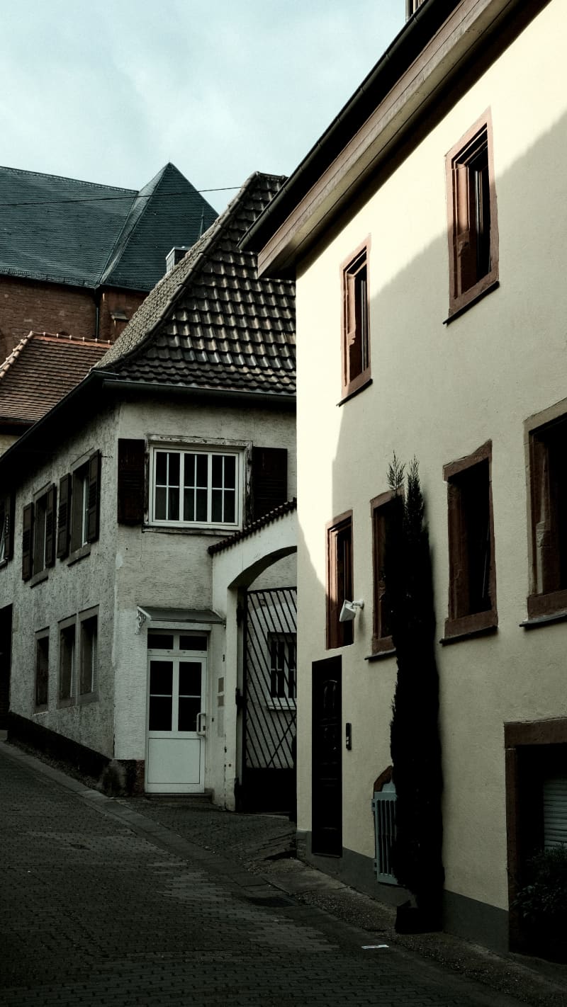 Photography by Petr Mitev
