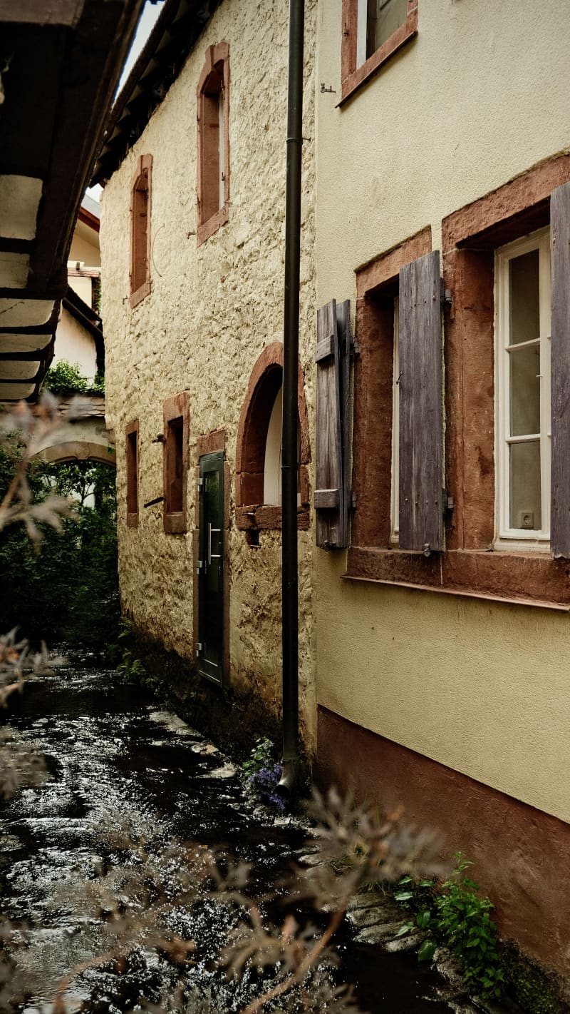 Photography by Petr Mitev
