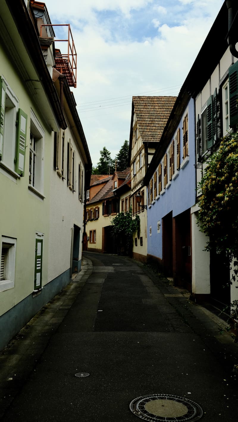 Photography by Petr Mitev