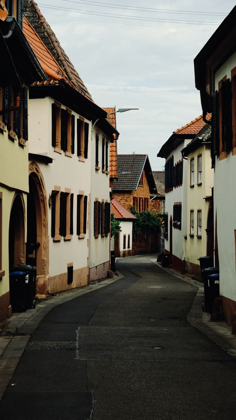 Photography by Petr Mitev