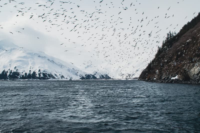 Photography by Petr Mitev