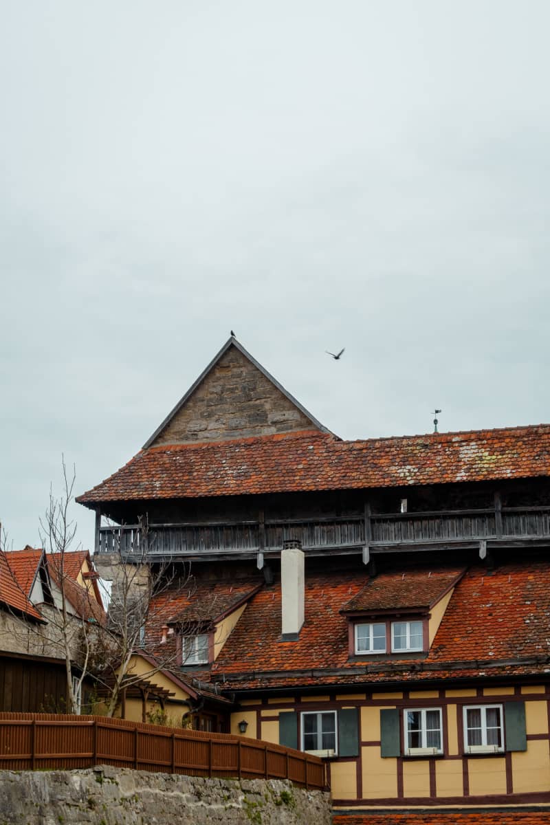 Photography by Petr Mitev