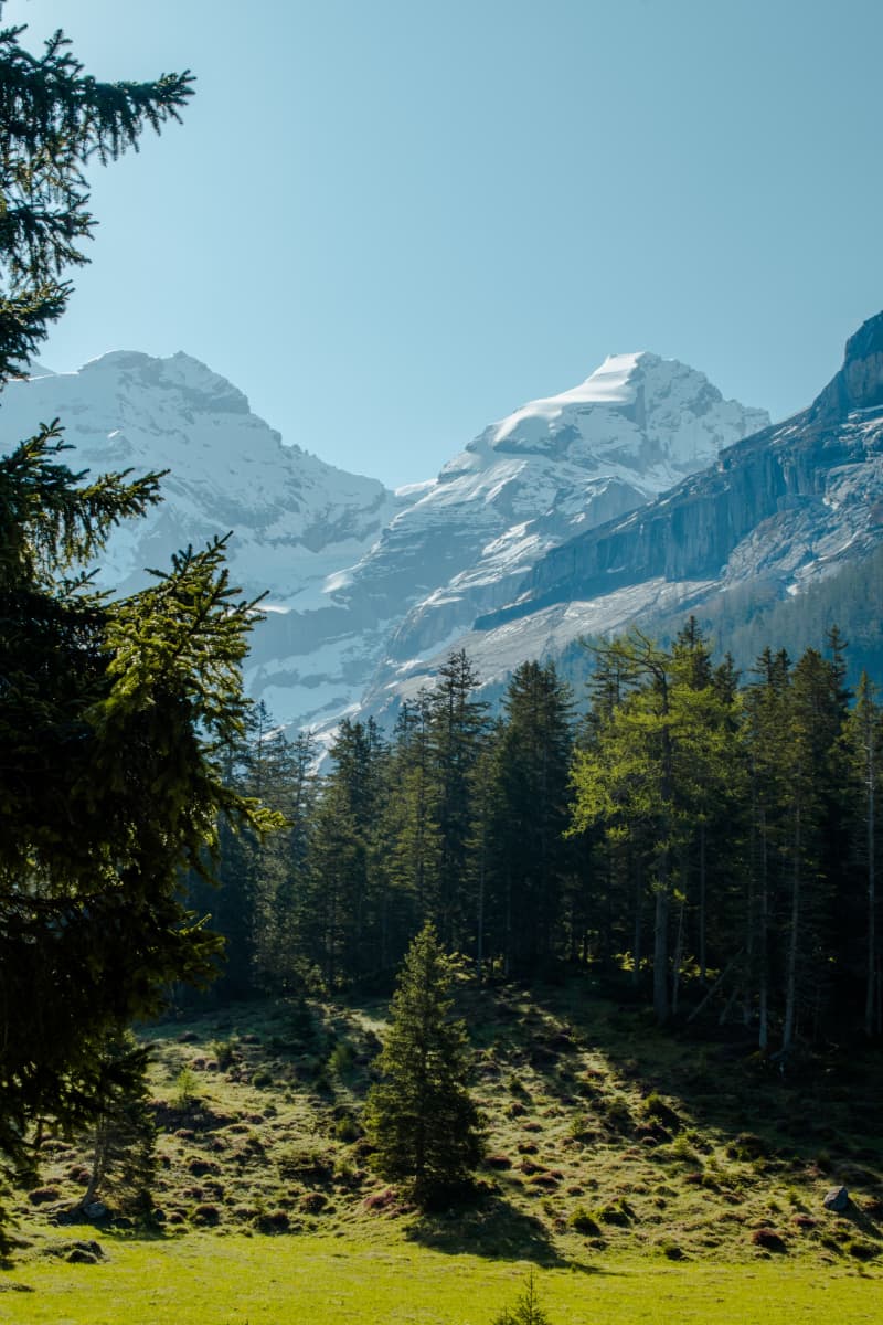 Photography by Petr Mitev