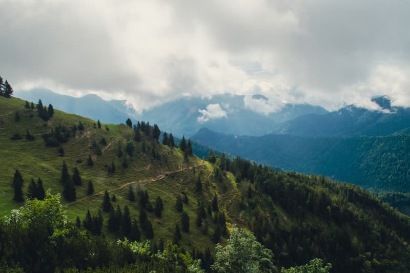 Photography by Petr Mitev