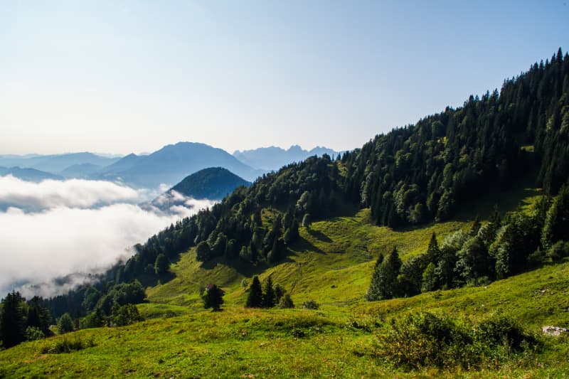 Photography by Petr Mitev