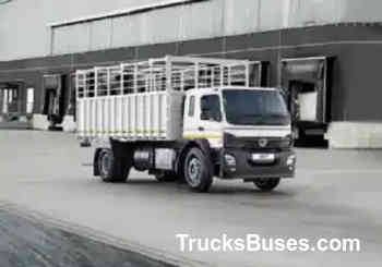 Ashok Leyland Ecomet Star 1815 HE Sleeper Truck Images