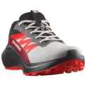 Чоловічі кросівки Salomon Alphaglide GTX — фото 2