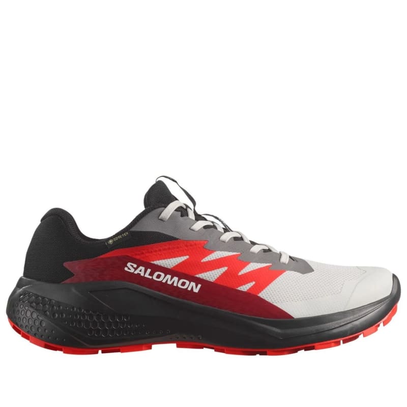 Чоловічі кросівки Salomon Alphaglide GTX