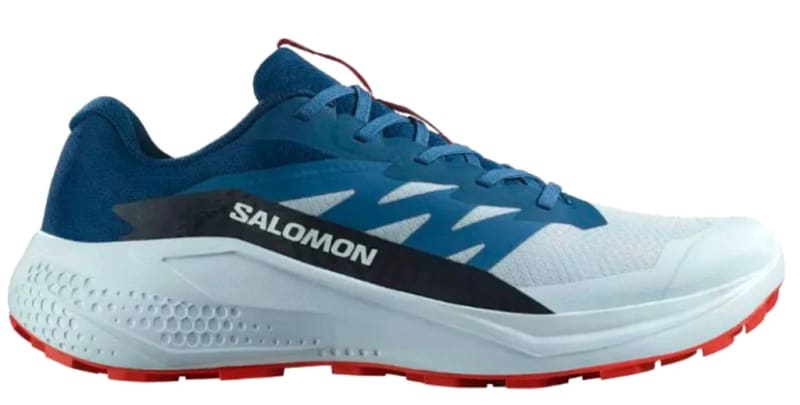 Чоловічі кросівки для бігу SALOMON ALPHAGLIDE (477243)