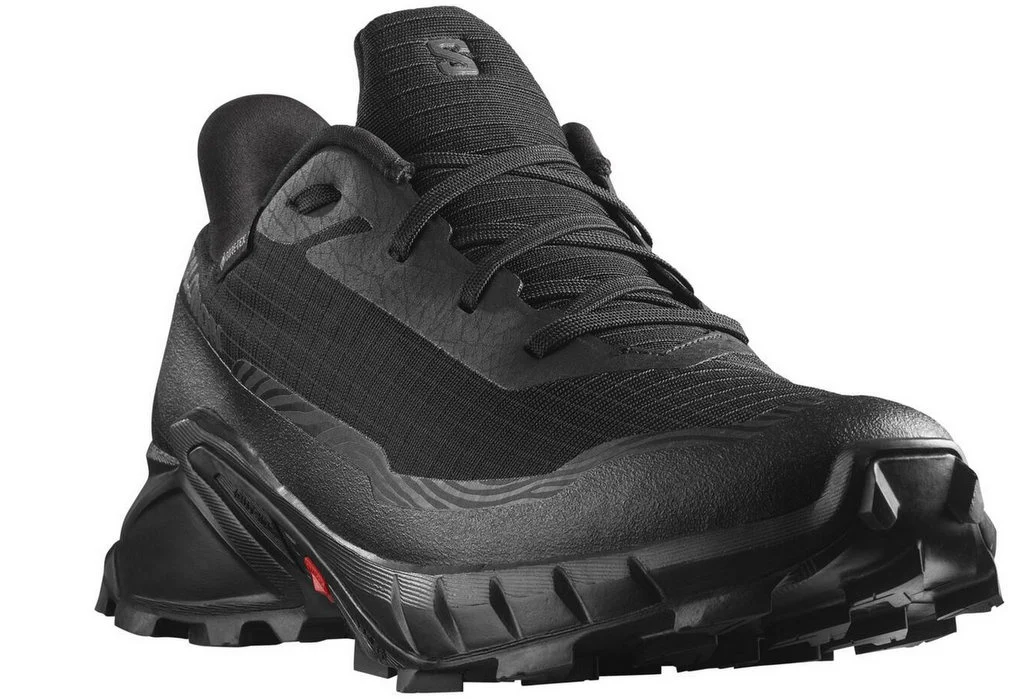 Чоловіче взуття SALOMON ALPHACROSS 5 GTX Gore-TEX (473075) — вигляд 2