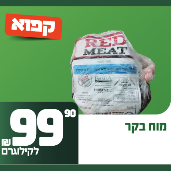 מוח בקר