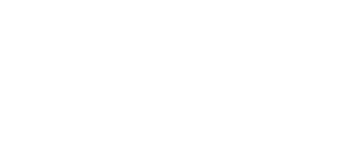 logo blanc du ministere de l'economie numerique en RDC
