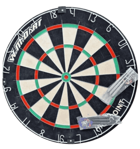 Professional Dart Board with 6 balanced darts Pro Darts