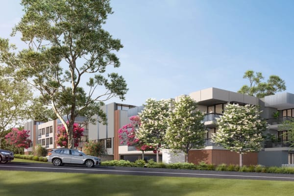 Bomaderry banner tree