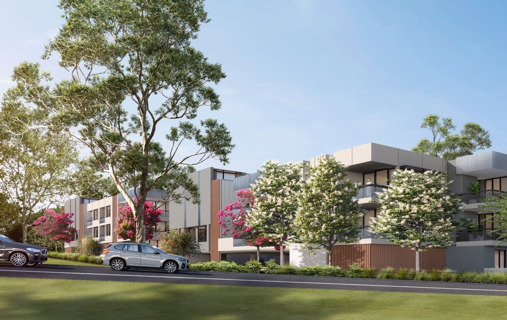 Bomaderry banner tree