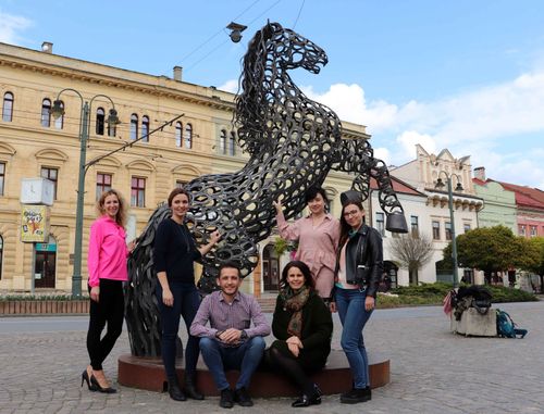 Vystupovanie na verejnosti