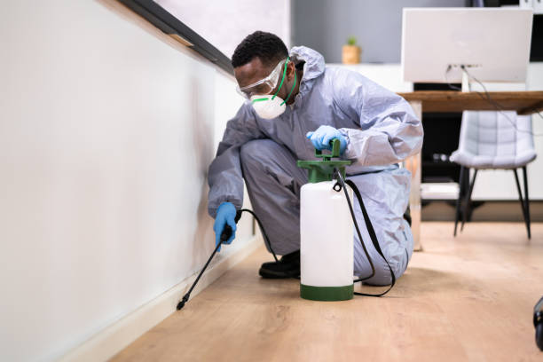 Pest control price for apartments(1 BHK)