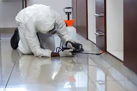 Pest control price for villas(3 bedrooms)