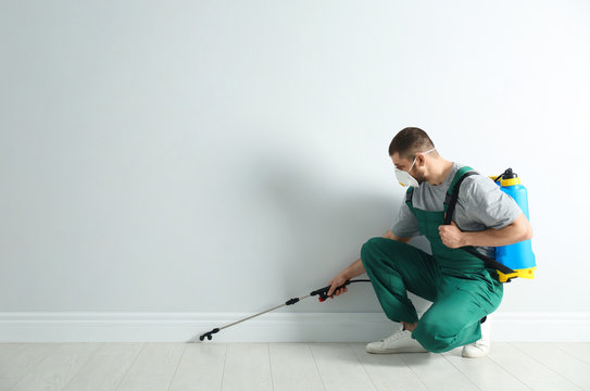 Pest control price for villas (4 bedrooms)