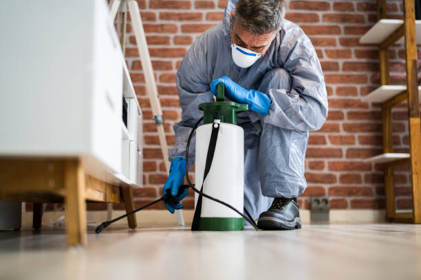 Pest control price for villas (7 bedrooms)
