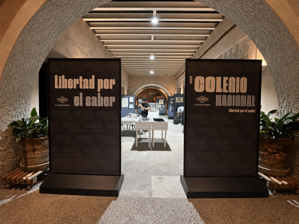 Instalación de gráfica expositiva en sala cultural