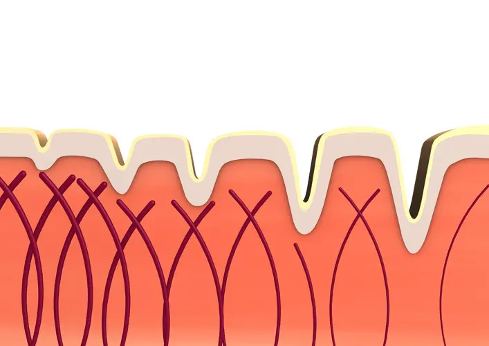 Collagen là gì? tác dụng và các loại thực phẩm chứa collagen