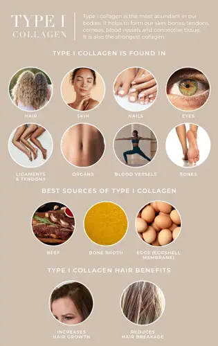 Collagen là gì? tác dụng và các loại thực phẩm chứa collagen