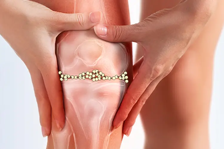 Collagen là gì? tác dụng và các loại thực phẩm chứa collagen