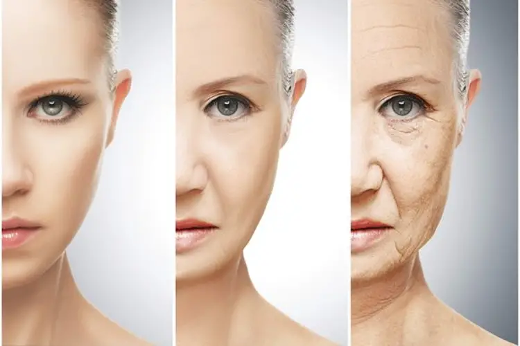 Collagen là gì? tác dụng và các loại thực phẩm chứa collagen
