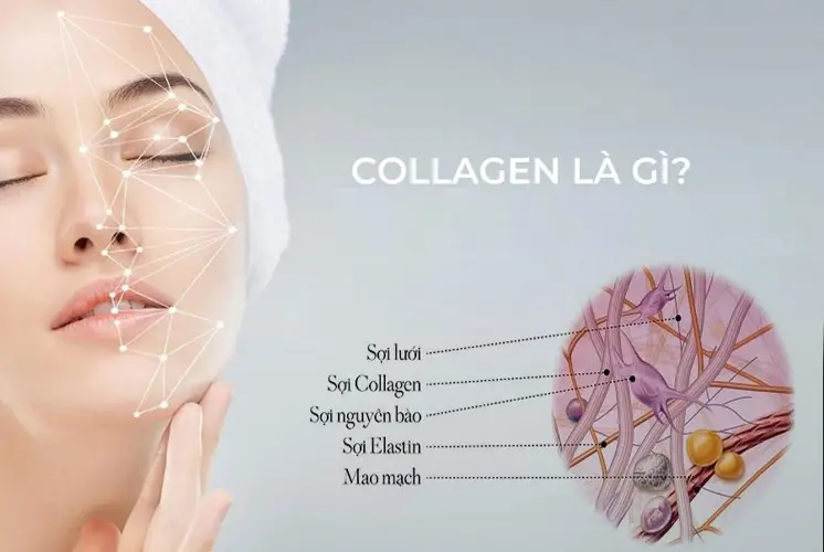 Cách dùng collagen và cách uống hiệu quả 4 Cách dùng collagen và cách uống hiệu quả
