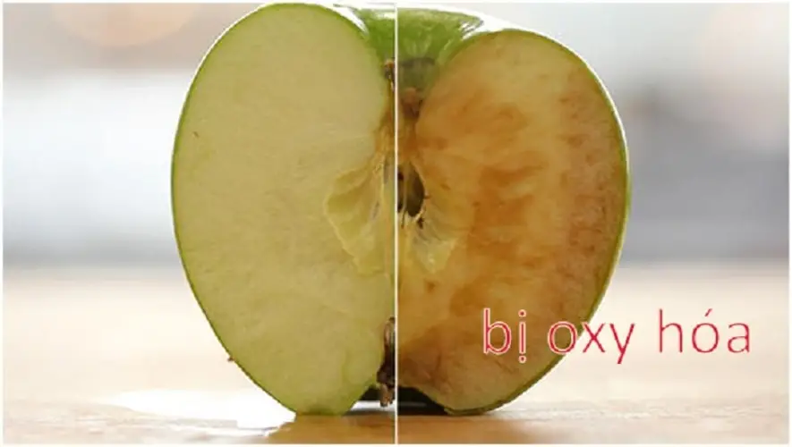 Chống oxy hóa là gì? Khái niệm, cơ chế và tầm quan trọng cho sức khỏe
