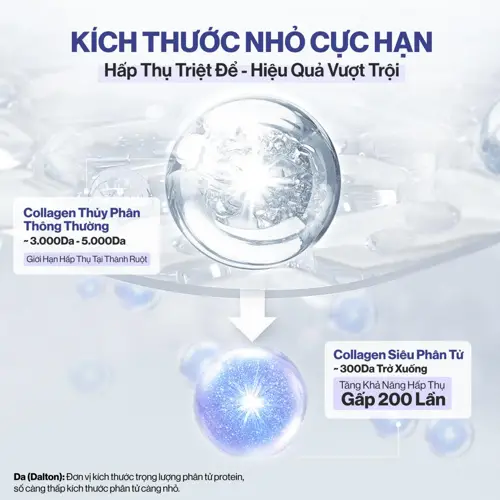 Collagen thủy phân là gì? Công dụng, cách sử dụng và mua ở đâu?