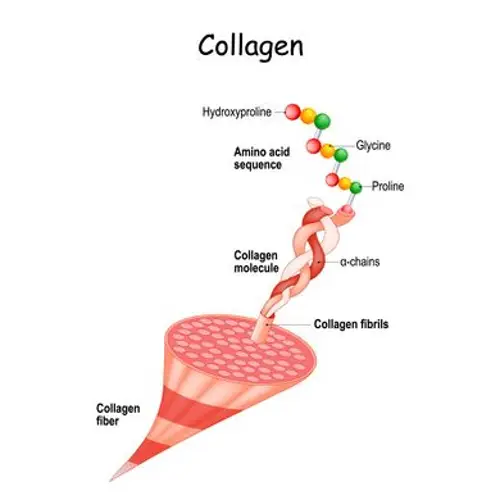 Collagen thủy phân là gì? Công dụng, cách sử dụng và mua ở đâu?