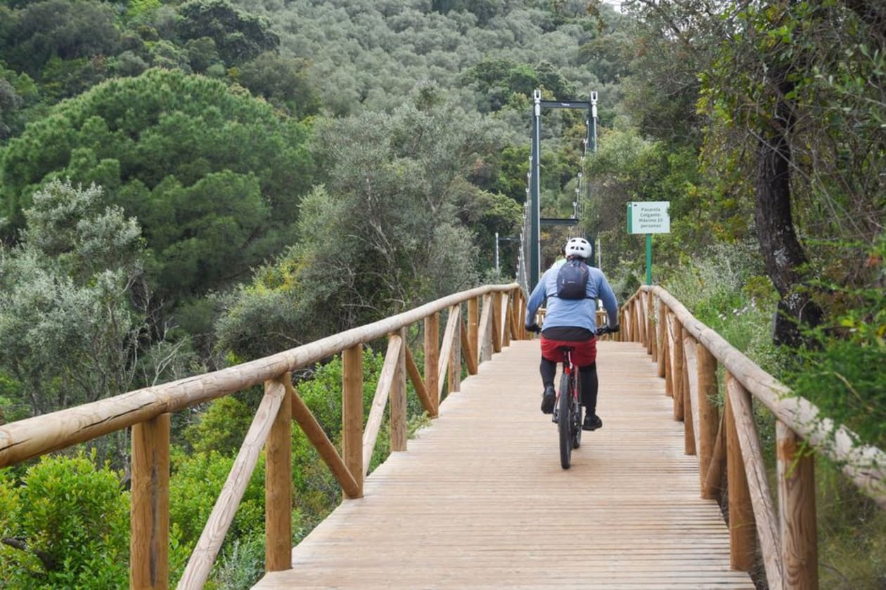Un cinturón verde para recorrer la sierra de Córdoba en un día: puentes colgantes, arroyos y un valioso patrimonio natural