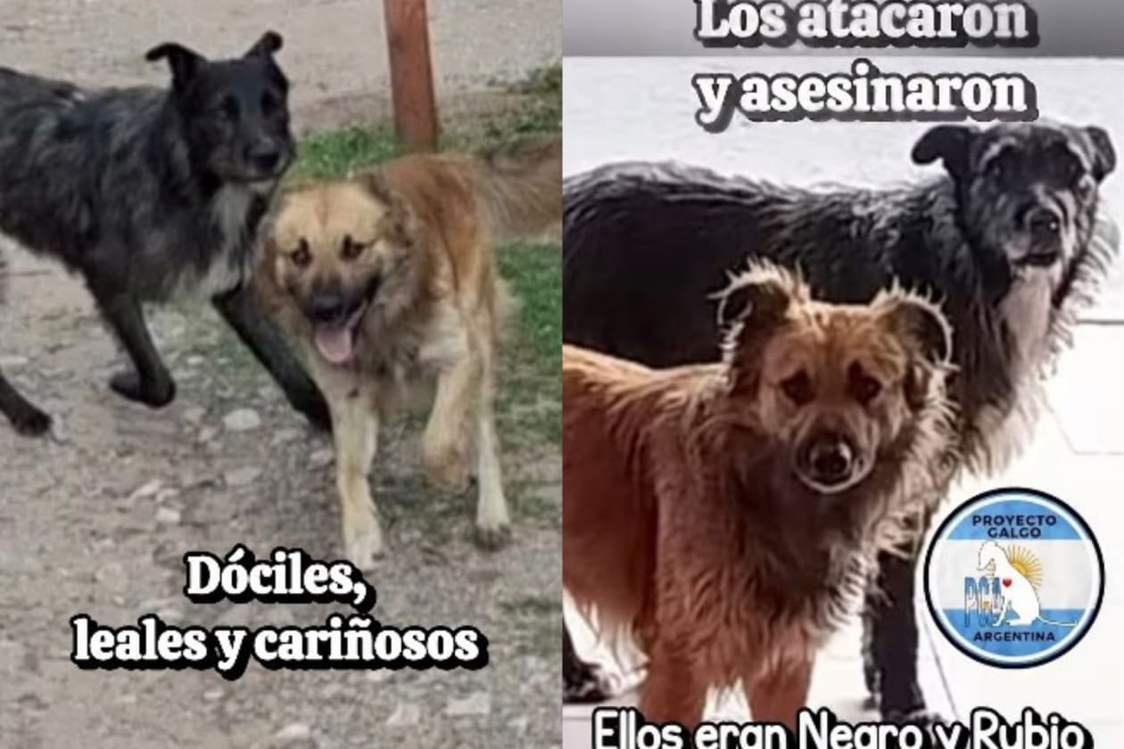 Imagen de noticia