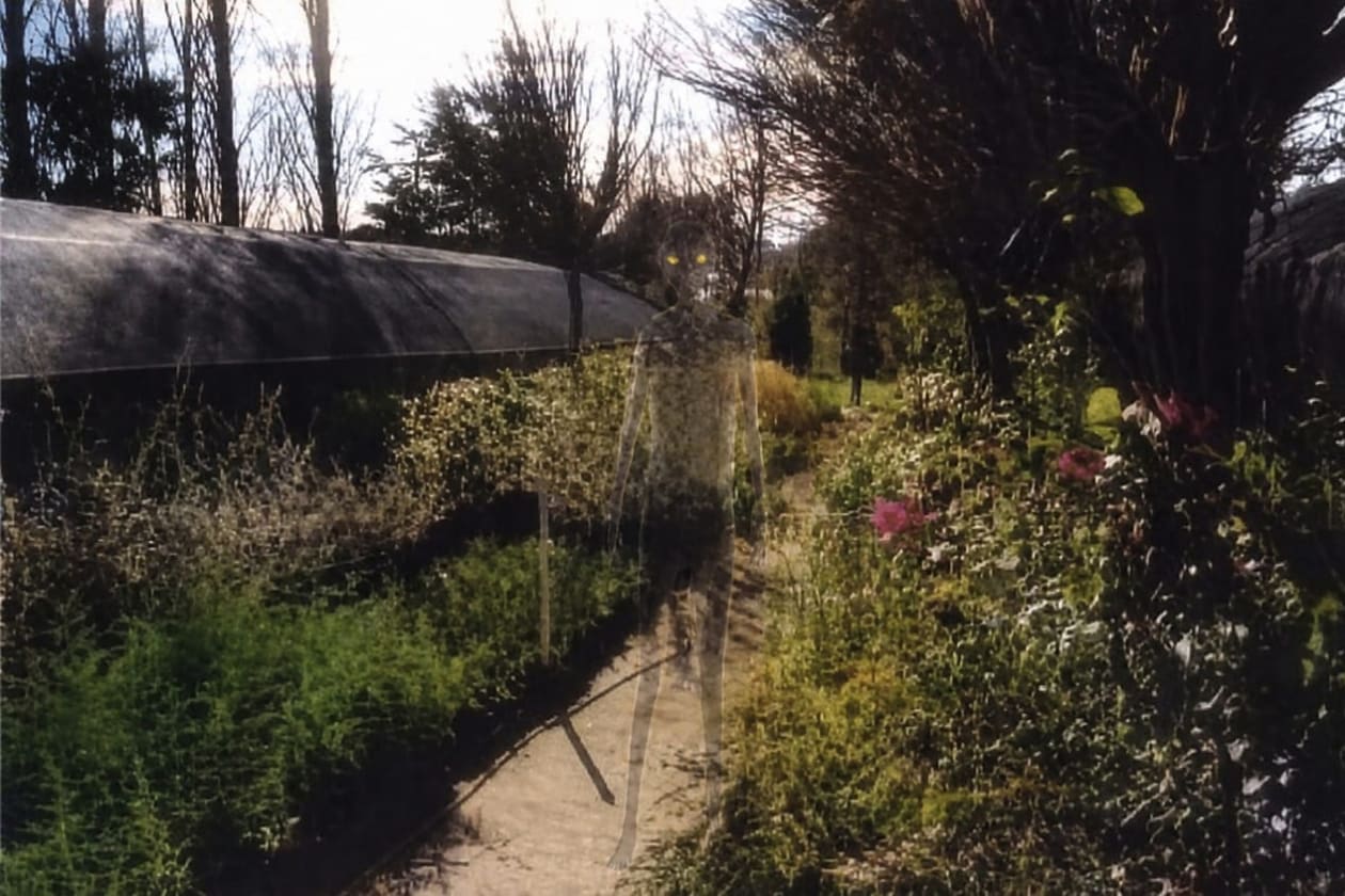 Encuentro con una criatura transparente en Capilla del Monte