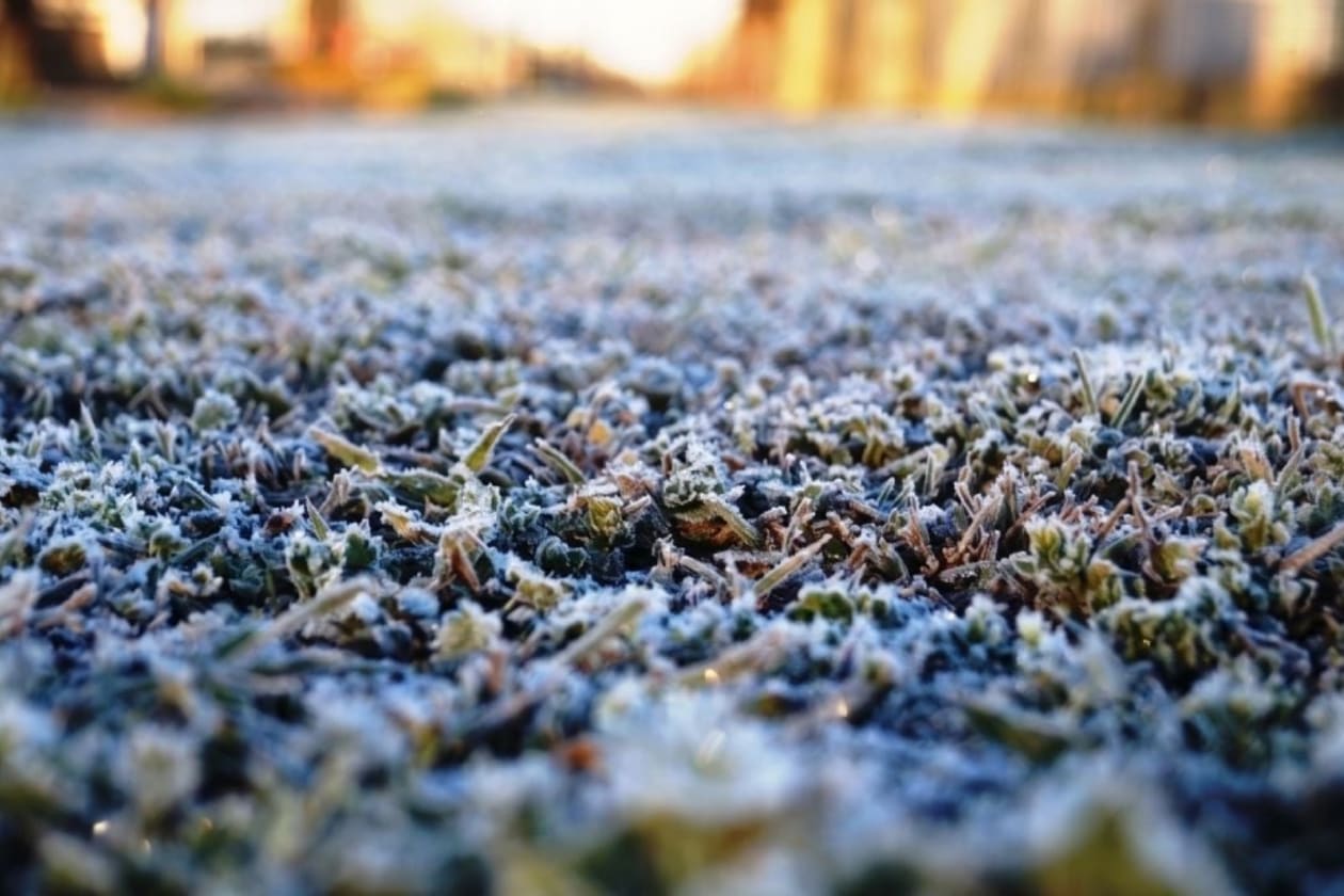 Frío Intenso en Carlos Paz y el Sur de Punilla: Temperaturas Mínimas Registradas