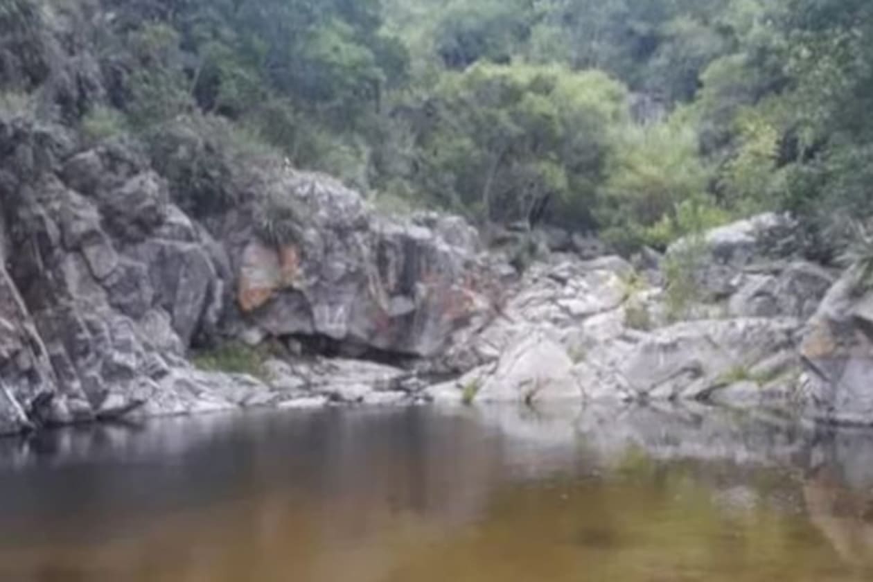 Descubrimiento de Nueva Especie de Roedor en las Sierras de Córdoba