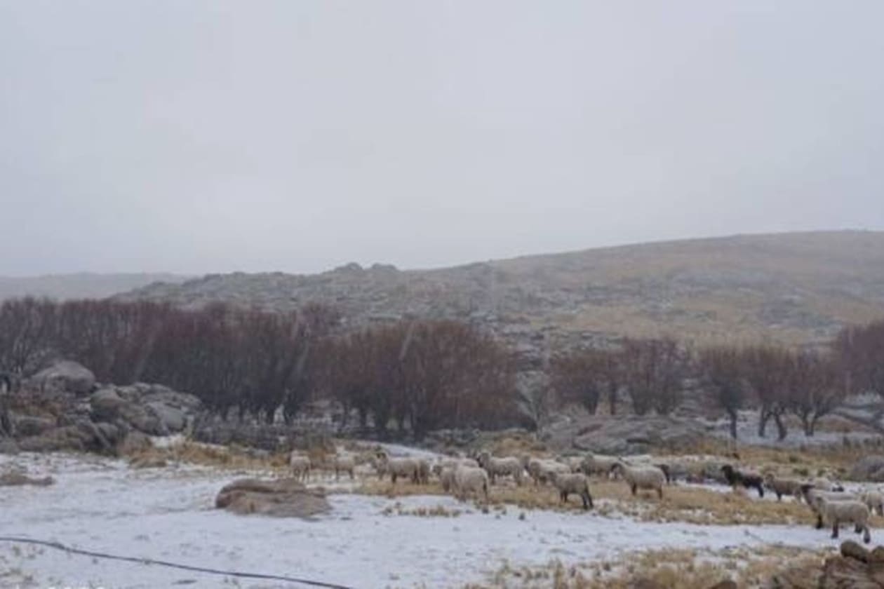 La nieve cubre las sierras de Córdoba en un espectáculo invernal
